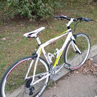 bici Bottecchia