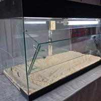 terrario / rettilario