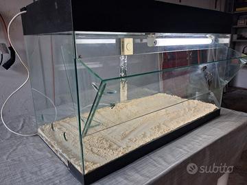 terrario / rettilario
