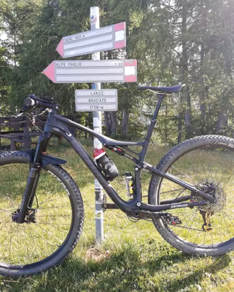Specialized EPIC FSR COMP CARBON 29"