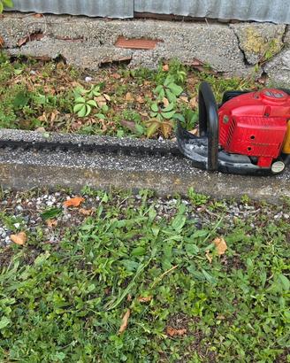 tagliasiepi zenoah komatzu husqvarna 