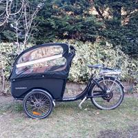 Cargo bike elettrica porta bimbi a tre ruote