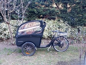 Cargo bike elettrica porta bimbi a tre ruote