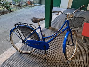 bicicletta da donna con cestino 26 pollici
