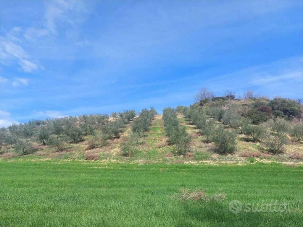 Immobile in asta di 43400 m² a Altomonte - Vista 5