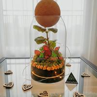 terrarium San Valentino 