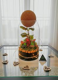 terrarium San Valentino 