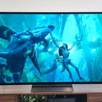 LG OLED C4 48" Pari al nuovo, con garanzia