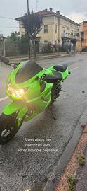 Kawasaki ninja 250