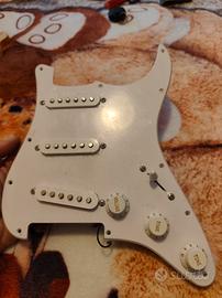 pick up completi Stratocaster squier