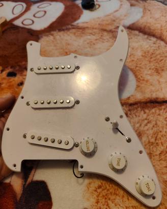 pick up completi Stratocaster squier