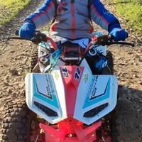 mini quad 
