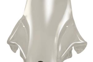 Parabrezza Givi 156DT per Suzuki Burgman 250 (98-0