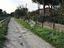Immagine 12