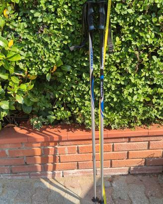 Racchette da sci Tecno Pro Carve 