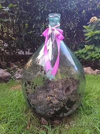 damigiana per creazione terrario