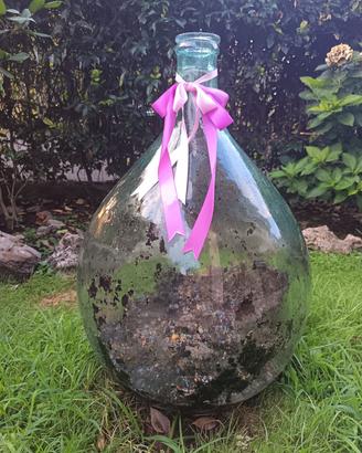 damigiana per creazione terrario