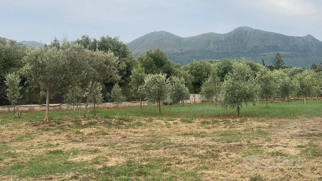 Terreno di 1600 m² a Carini - Vista 3