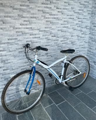 Mountain bike da donna