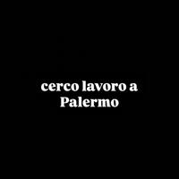 commessa negozio vestiti/animali ecc o cameriera