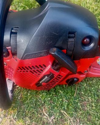 motosega professionale 