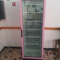 CONGELATORE VERTICALE ROSA VERNICIATO