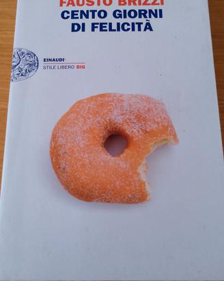 Cento giorni di felicità 