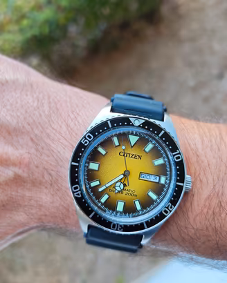 Citizen Promaster automatico NY0120-01X