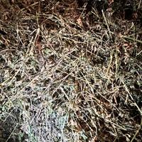 balletta di fieno da 25 kg 