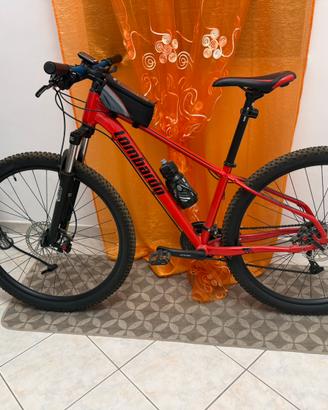 Lombardo 29