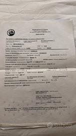 Motore fuoribordo Evinrude CV 150 2 Tempi