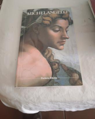 Michelangelo