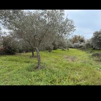 Terreno con immobile ristrutturabile