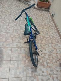 Bici da bambino