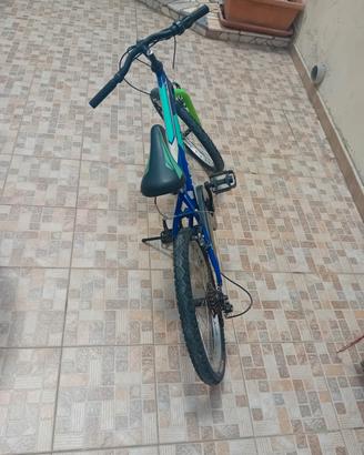 Bici da bambino