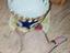 Immagine 2