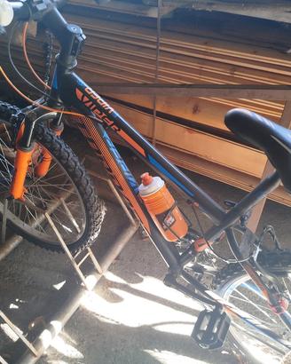 bicicletta 