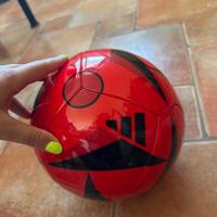 Pallone di cuoio