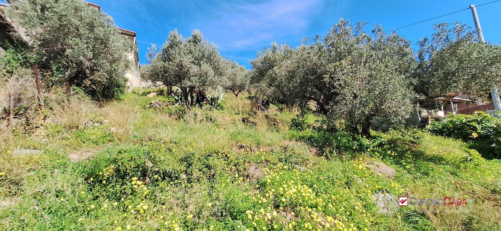 Rodia, terreno agricolo di circa 1000 mq - Vista 5