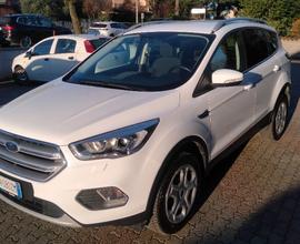 FORD Kuga 1.5 TDCI 120 CV S&S 2WD Titanium Busin