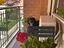 Immagine 23