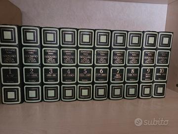 dizionario della lingua italiana 