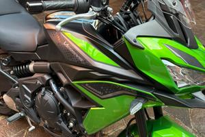 Kawasaki Versys 650