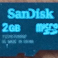 Scheda di memoria Micro SD 2 GB della Sandisk