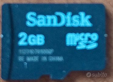 Scheda di memoria Micro SD 2 GB della Sandisk