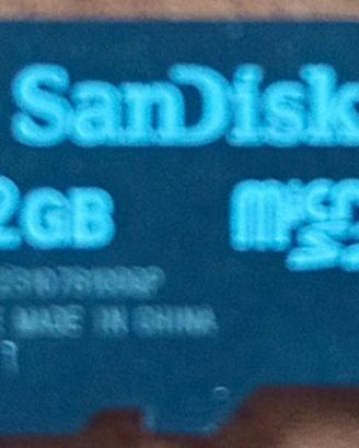 Scheda di memoria Micro SD 2 GB della Sandisk
