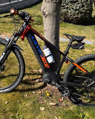 Ebike olympia