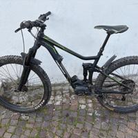 Bicicletta Elettrica