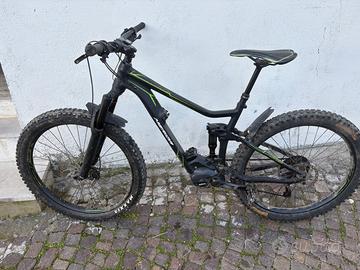 Bicicletta Elettrica