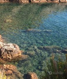 Appartamento ad Ascea Marina, parco Baia Tirrena